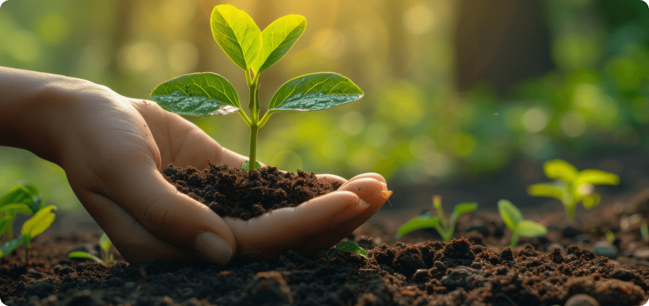 worm casting fertilizer