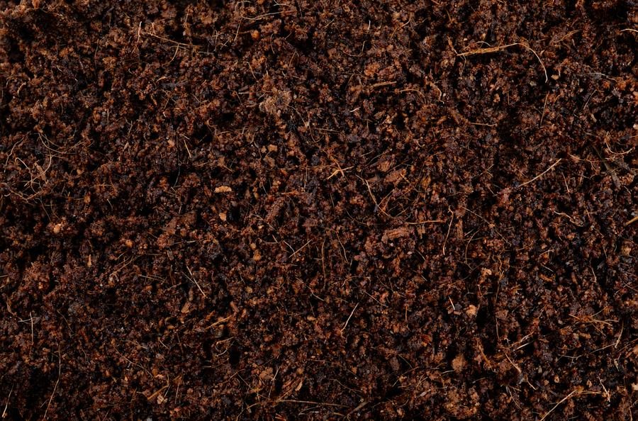 Shredded Coco Husk
